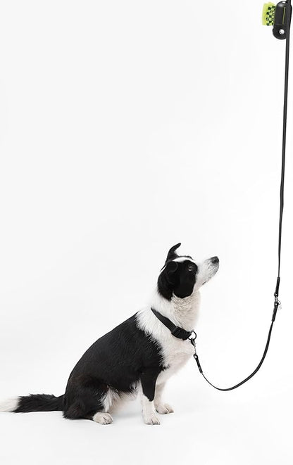 WLK1006I-5SET Luna Large 8FT Adjustable 6-in-1 Waterproof Hands-Free Leash and Collar with LED Flashlight, Bag Dispenser, and Poop Bag Holder, Bitters