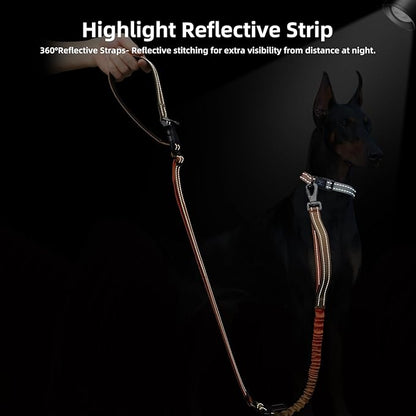 Roses&Poetry Hands Free Dog Leash for Medium Large Dogs Heavy Duty, No Pull Bungee Dog Running Waist Leash for Walking Training with Car Seatbelt 4-6FT