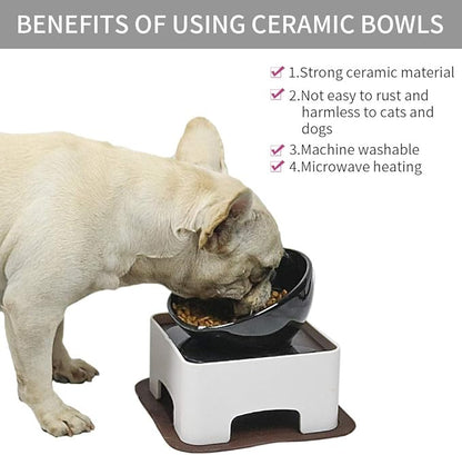 Raised Tilted Dog Feeding Bowl,Elevated Ceramic Dog Bowls Set Anti-Slip,Standing Pet Feeding Dish for Small Medium Dogs and Cats,Black