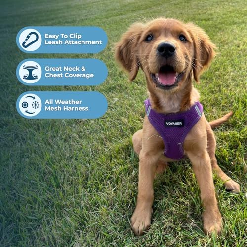 Best Pet Supplies Voyager Step-in Air All Weather Mesh Harness and Reflective Dog 5ft Leash Combo with Neoprene Handle, for Small, Medium and Large Breed Puppies - Purple, Large - Image 5