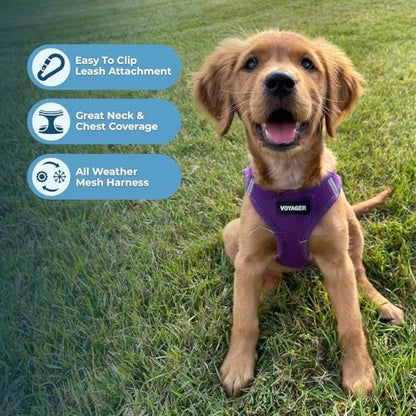 Best Pet Supplies Voyager Step-in Air All Weather Mesh Harness and Reflective Dog 5ft Leash Combo with Neoprene Handle, for Small, Medium and Large Breed Puppies - Purple, Small - Image 5