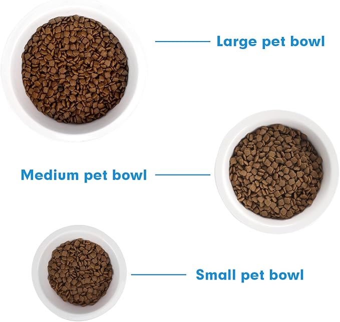 FOREYY Set of 2 Ceramic Dog Cat Bowl Set, Pet Porcelain Food and Water Feeder Dish Bowls with Anti Slip Band, Dishwasher and Microwave Safe (Medium)