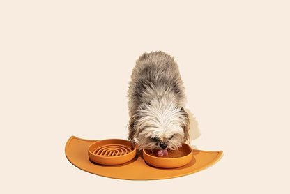 Should We Go? Dog Water Bowl - The Perfect Dish No-Spill, Less Mess Non-Tippable Water & Food Bowl, Pure Silicone with Suction Cup Fits 2 Cups 6” Across x 1.25” Tall Ideal for All Pets, Small-Charcoal