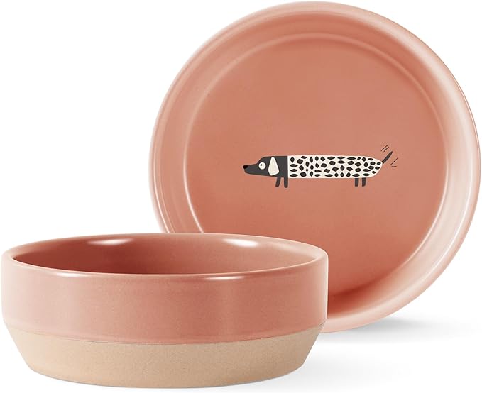 Fringe Studio George The Dog Medium Stoneware Pet Bowl, PetShop Collection (479009)