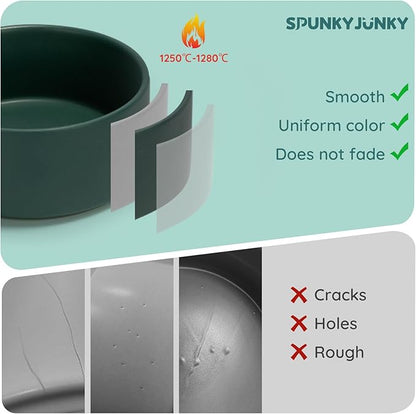 SPUNKYJUNKY 28.7OZ Ceramic Dog and Cat Bowl, Modern Cute Weighted Food Water Bowl for Replacement Green (2 Pack)