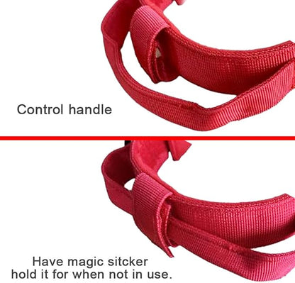 Xqpetlihai Tactical Dog Collar and Leash Set Adjustable Military Nylon Dog Collar with Control Handle and Heavy Duty Metal Buckle for Large Dogs（Red XXL