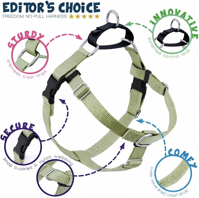 2 Hounds Design Freedom No Pull Dog Harness, Adjustable Harness and Leash Set, Easy Walking & Comfortable Control, Fits Small, Medium & Large Dogs, Solid Colors, Made in USA, 1" LG, Tan
