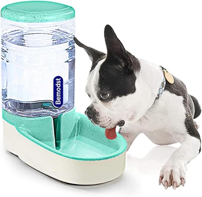 Bemodst Automatic Pet Water Dispenser - Automatic Cat & Dog Water Bowl, 3.8L Gravity Design, Suitable for Small & Medium-Sized Pets (Green)