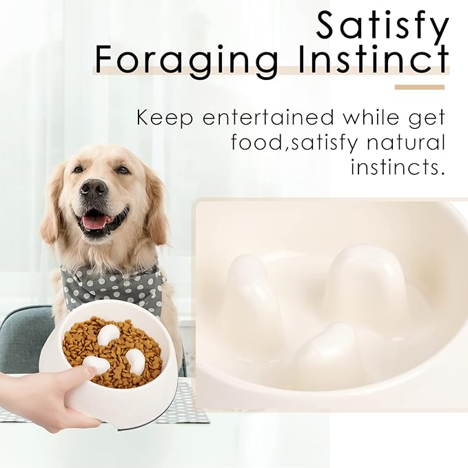 Super Design Slow Feeder Dog Bowl, 1.5 Cup, Non-Slip, Heat-Resistant, Suitable for Medium to Large Dogs