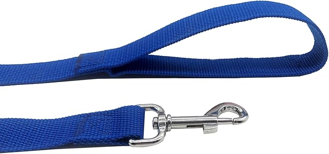 Strong Nylon Dog Leash, 4FT/ 5 FT/ 6FT Dog Leashes for Medium Large Dogs (6 FT, Blue)