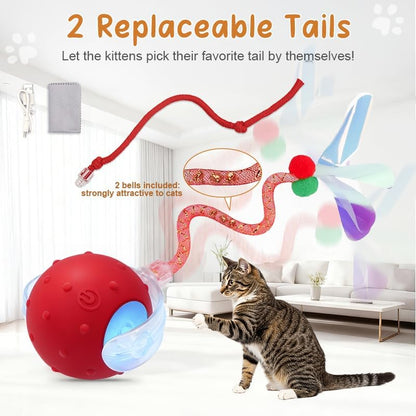 Interactive Cat Ball Toy, Motion Activated Electric Rechargeable Cat Toy - Image 3