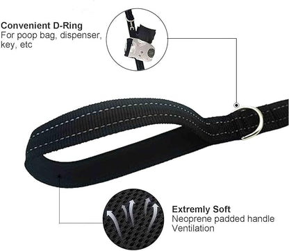 Dual Padded Handle Walking And Training Standard Leashes For Large Dogs With Reflective Stitching,360° Rotatable Heavy Duty Metal Buckle,D-Ring,Durable Nylon,6Ft Long For Big Dogs Over 70 Pounds Black