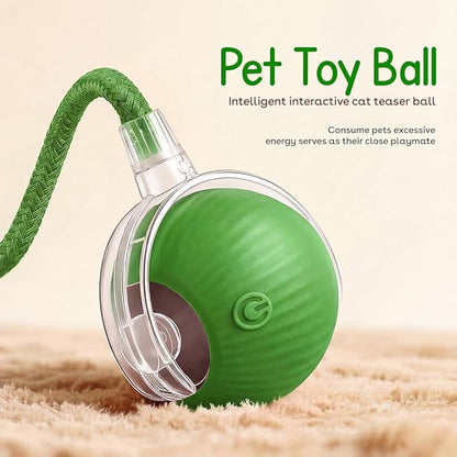 Interactive Cat Toy Ball, Automatic Intercative Cat Toys for Indoor Cats, The 3rd Generation Agile Moving Cat Ball with Elastic Mesh Tail, Toys for Indoor Adult Cats (Green)