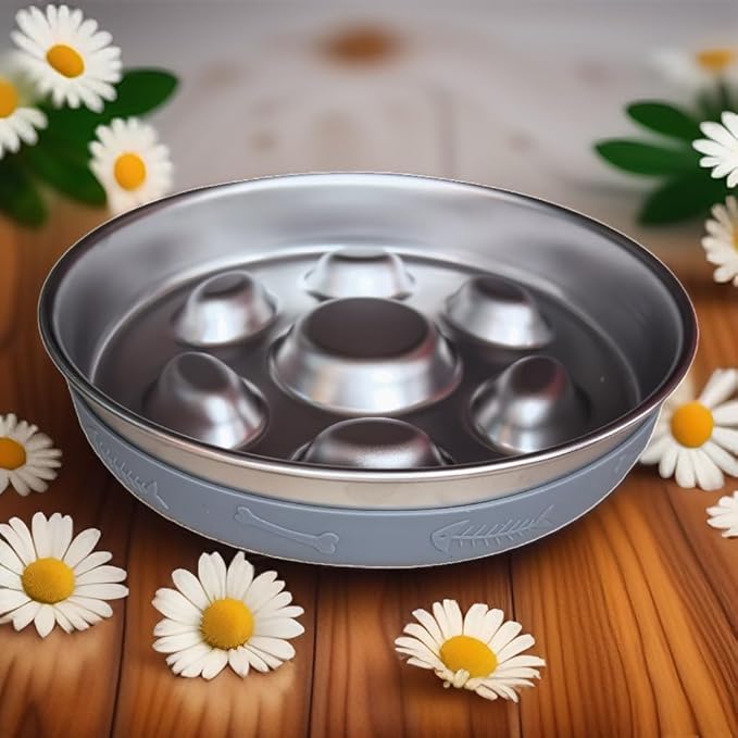 2-4 Cup Slow Feeder Cat Dog 304 Stainless Steel,Metal Food Bowl for Big Medium Small Breed Pet with Non-Slip Mat