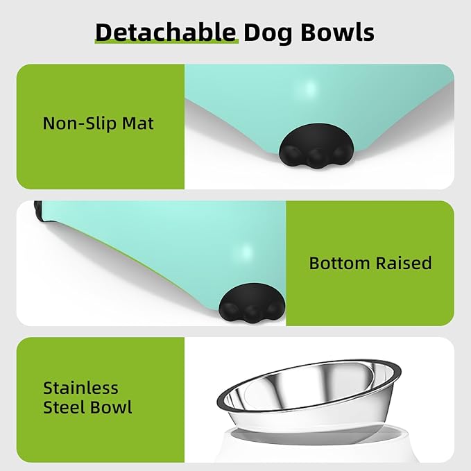 Stainless Steel Dog Bowls Set, Double Food & Water Bowls for Dogs, Dual Dog Food Bowl with 2 Small (4oz*2) Bowl, Non-Slip Pet Bowls Suitable for Puppies, Kittens and Small Breed Dogs (Green)