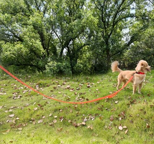 10FT Dog Leash with Traffic Handle Reflective Large Medium Dogs - Image 6