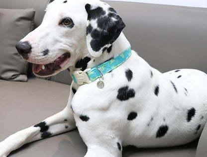 DOGWONG Cotton Dog Collar, Spring Summer Dog Collar Durable Soft Natural Fabric Pet Dog Collar Cute Wedding Puppy Necklace for Small Medium Large Dog