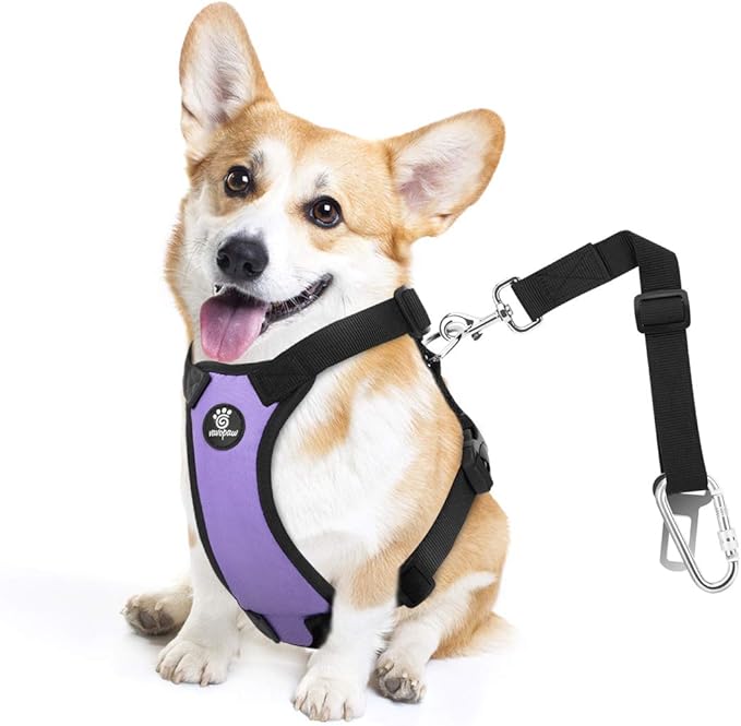 VavoPaw Dog Seat Belt, Safety Vest Dog Car Harness with Adjustable Buckle Dogs Seat-Belt for Vehicle Nylon Pet Safety Seats Belts Heavy Duty(M, Purple)