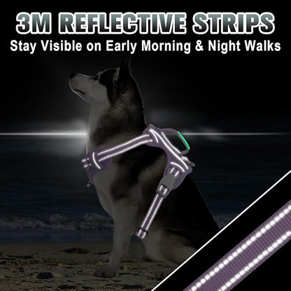 BARKBAY No Pull Dog Harness Large Reflective Dog Harness with Front Clip and Easy Control Handle for Walking Training Running with ID tag Pocket(Violet Purple,L)