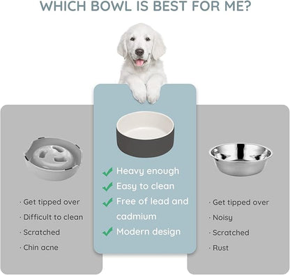 SPUNKYJUNKY 13.5OZ Ceramic Dog and Cat Bowl, Modern Cute Weighted Food Water Bowl for Replacement White-Grey (1 Pack)
