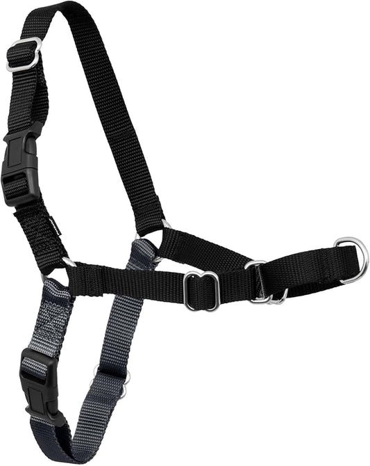PetSafe Easy Walk Harness for Dogs - Pull-Free Walks - Patented Martingale Loop Design - Front Chest Leash Attachment - Comfort Straps - Breathable Harness Design - Medium/Large, Charcoal/Black
