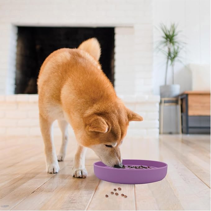 Slow Feeder Dog Bowls, Interactive Silicone Dog Feeding Bowls for Dogs & Cats, Slow Feeder Non-Slip with Suction Cups, Anti-Choking, Non BPA, Reduces Boredom, Anxiety, Dishwasher Microwave Safe