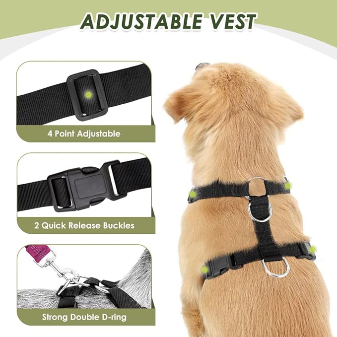 Lukovee Dog Seat Belt for Car, Adjustable Dog Car Harness for Large Medium Small Dogs, Soft Padded & Breathable Mesh Dog Seatbelt with Car Strap and Carabiner (Rose,XXS)