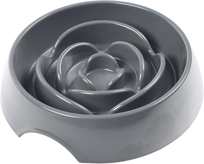 Messy Mutts Interactive Slow Feeder Bowl