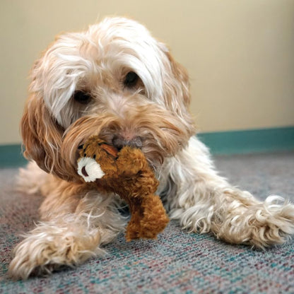 KONG Low Stuffing with Squeaker Dog Toy, X-Small, 3 Animals, Bear, Duck, Frog - Image 4