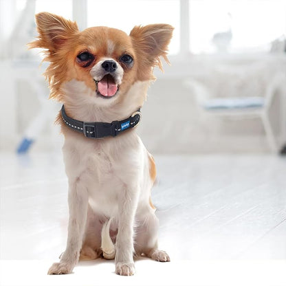 Reflective Padded Floating Leash and Collar Set Bundle Combo, Adjustable Comfortable Durable Collars for Small Medium Large Dogs (1" Collar w/Leash)