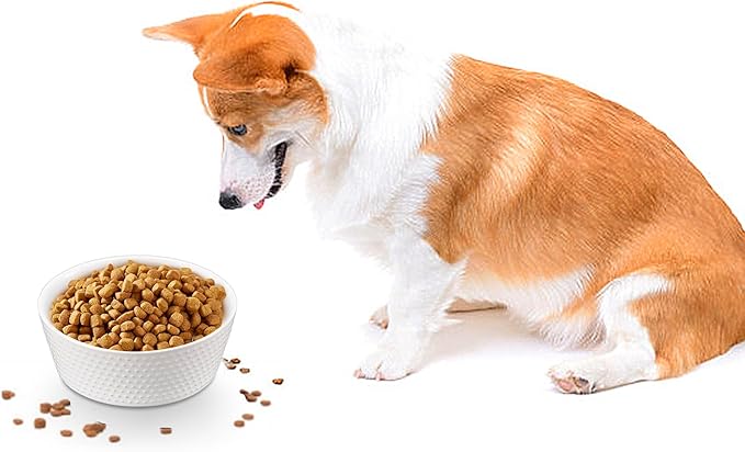 6.9" White Non-Slip Ceramic Dog Bowl, 33 Oz Heavy-Duty Dog Food/Water Dish, Pet Feeding Bowl for Small and Medium Dogs, Food Grade Porcelain Pet Feeder Bowl, Microwave and Dishwasher Safe