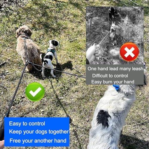 Heavy Duty 3 Dog Leash for Small Dogs No Tangle Detachable 360° Swivel Device with Padded Handle for Two/Three Pets - Image 3
