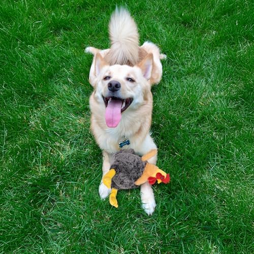 Squeaky Stuffed Dog Toys, Plush Chicken Toy for Small, Medium & Large Dogs - Image 6