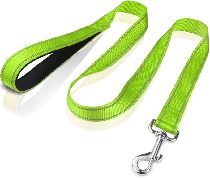 FunTags 4FT Reflective Dog Leash with Soft Padded Handle for Training,Walking Lead for Medium & Small Dogs,3/4 Inch Wide,Green