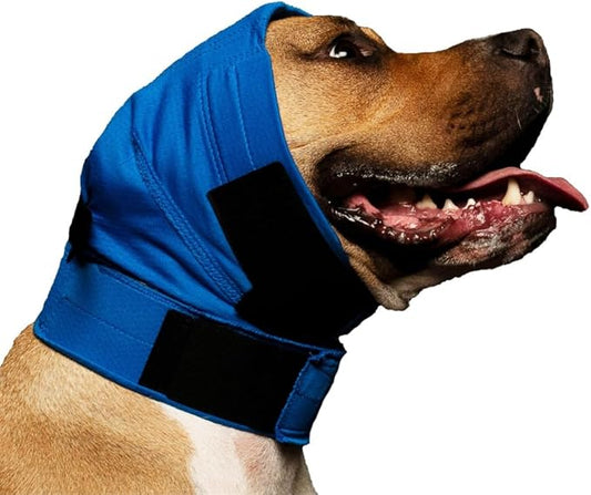 No Flap Ear Wrap (Blue Pinpoint Mesh, Small/Medium)