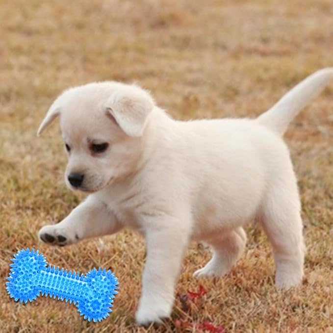 Dog Squeaky Bone Chew Toy for Aggressive Chewers,Durable Dog Rubber Bone Toy Dogs Teeth Cleaning and Training (Blue Small)