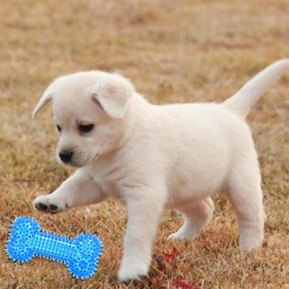 Dog Squeaky Bone Chew Toy for Aggressive Chewers,Durable Dog Rubber Bone Toy Dogs Teeth Cleaning and Training (Blue Small)