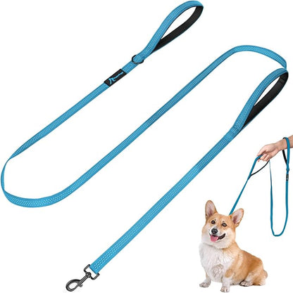 PuppyDoggy Dog Leash for Small to Medium Dogs 6 ft with 3 Reflective Stitching and 2 Traffic Padded Handles Dog Lead/Rope, Pet Leash for Running Walking Training (6 ft x 0.6 in - Blue 1 Pack)