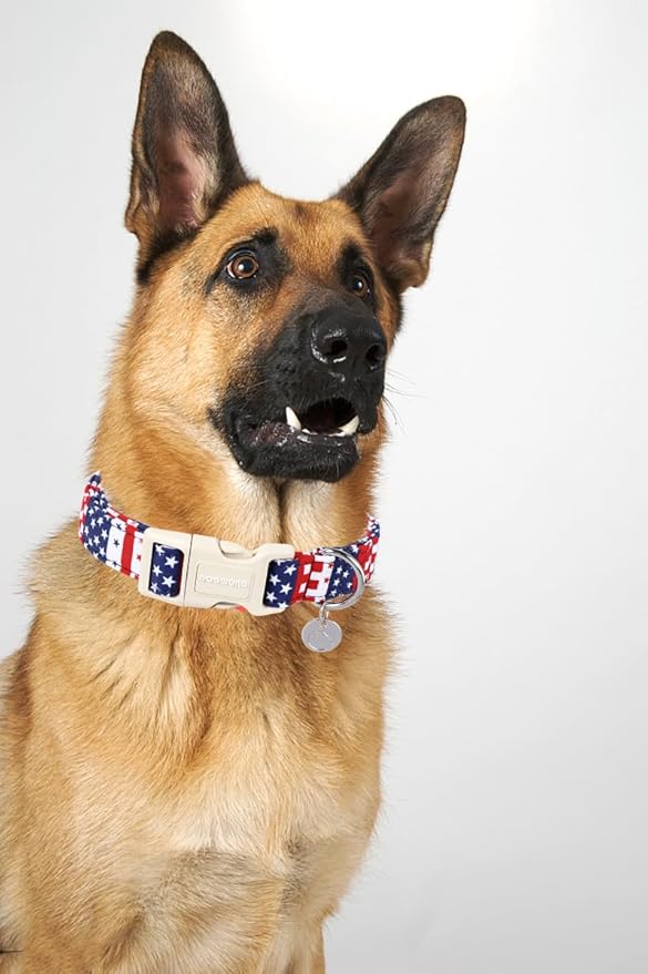 DOGWONG Cotton Dog Collar - 4th of July Patriotic Puppy Necklace for Small to Large Dogs, Soft Natural Fabric, Blue Star