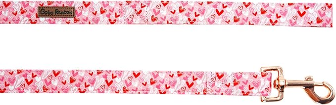 Dog Leash-Valentine's Holiday Love Heart Print Boy/Girl Durable Strong Dog Leashes Heavy Duty Comfortable Padded Pet Leash for Small Medium Large Dogs
