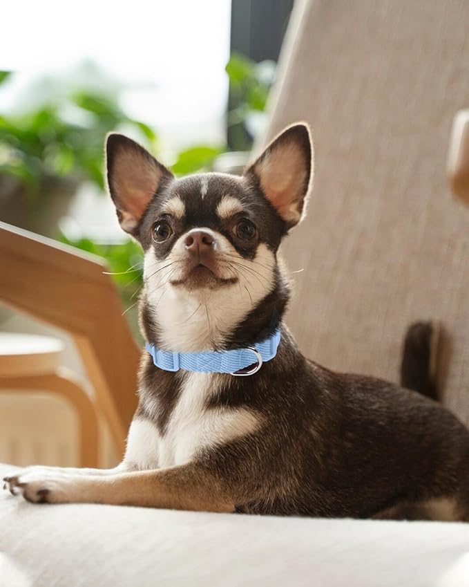 Dynmeow Soft and Breathable Cotton Dog Collar, Durable Adjustable Boy Pet Collar with Quick-Release Buckle, Lightweight for Sensitive Skin for Puppies and Extra-Small Dogs, Light-Blue, Xs