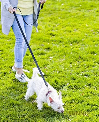 6FT Reflective Dog Leash for Large&Medium and Small Dogs,Nylon Leashes for Walking and Training,6 Foot Leash with D Ring, 6 FT (1 inch X 6FT, Black)