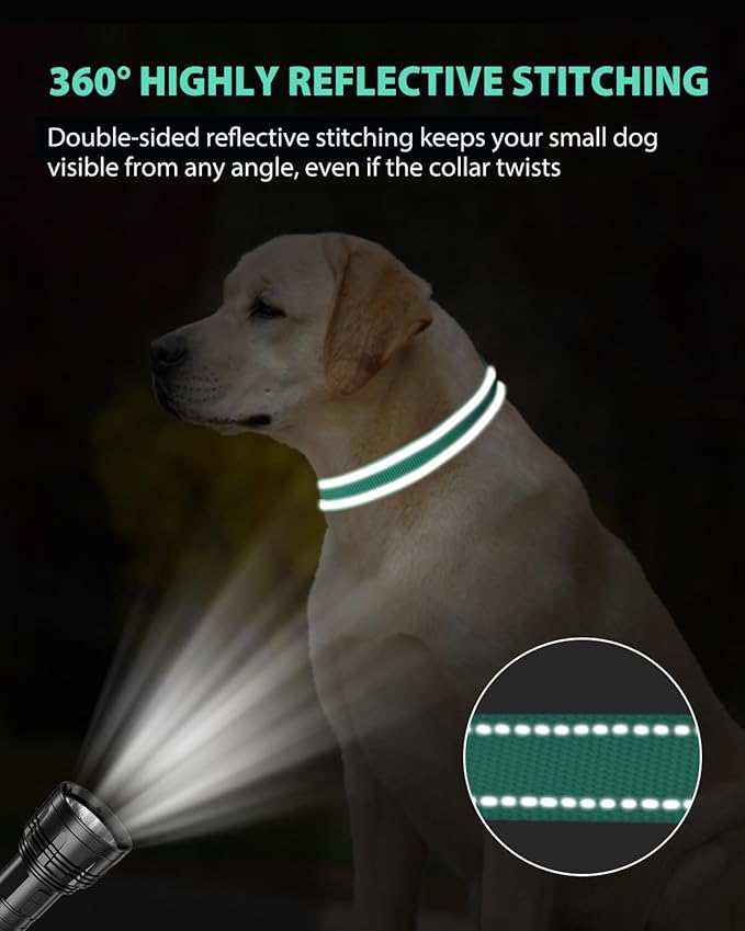 Joytale Dog Collars for Medium Dogs, Comfortable Double-Sided Reflective Nylon Collar for Night Safety, Adjustable Quick-Release for Active Pets, Teal, M (1" Width)