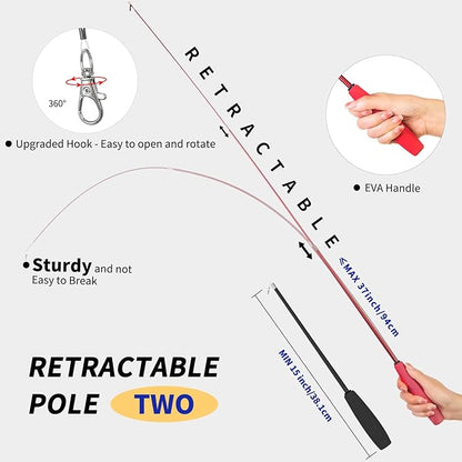 FYNIGO Interactive Cat Kitten Wand Toy Set,2 Retractable Fishing Pole+1 Rainbow Teaser Wand+9 Refills +2 Spare Hook,Funny Cat Feather Toys for Indoor Cats and Kittens to Chase Exercise(14 Pack)