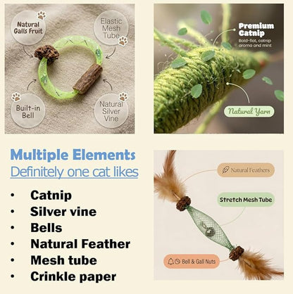 6 Pcs Catnip Chew Toys for Cats-2 Natural Silvervine Chew Cat Toys, 1 Catnip Shrimp, 1 Natural Feather Cat Toys, 1 Realistic Scorption and 1 Interactive Crinkle Toys for Indoor Cats