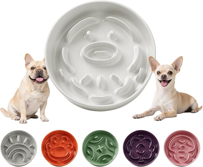 Ceramic Slow Feeder Dog Bowl - Feeding Dish for Fast Eaters - Maze Dog Bowl to Slow Down Eating - Ideal Food Control Dish for Small Breeds - 0.8 Cups (80g) - 6.3 Inch - White