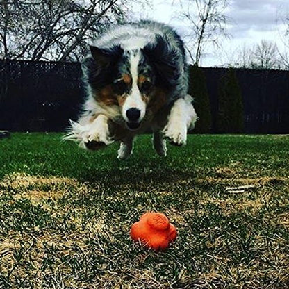 SodaPup Crazy Bounce – Durable Dog Ball Toy & Chew Toy Made in USA from Non-Toxic, Pet-Safe, Food Safe Natural Rubber Material for Bonding, Mental & Physical Exercise, Problem Chewing, & More - Image 2