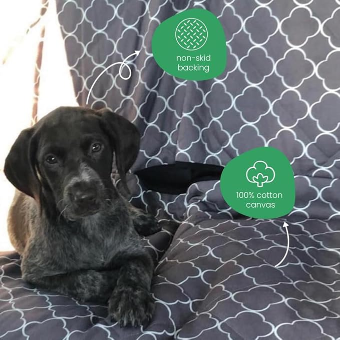 Molly Mutt 3-in-1 Back Seat Cover for Dogs, 100% Cotton Canvas Back Seat Hammock with Headrest Straps, Belt Slots, & Anchors, Non-Skid Cargo Area Cover, Machine Washable, No Harmful Chemicals, 56"x56"