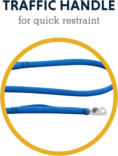 Ruffwear, Front Range Dog Leash, 5 ft Lead with Padded Handle for Everyday Walking, Blue Pool