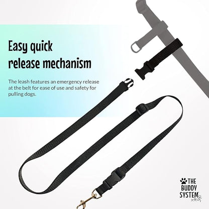 The Buddy System Accessories for Our Dog Leashes Made in USA (Extra Buddy, Small Dog Black)